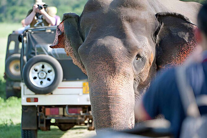 Private 6-Day Sri Lanka Cultural, Nature & Adventure Tour - Who Is This Tour Best Suited For?