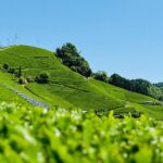 Private adventures into the hidden gems of greater Kyoto - In-Depth Breakdown of the Itinerary