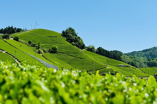 Private adventures into the hidden gems of greater Kyoto - In-Depth Breakdown of the Itinerary