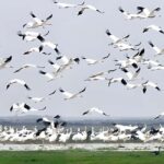 Private Agra to Bharatpur with Fatehpur Sikri Same Day Tour - FAQ