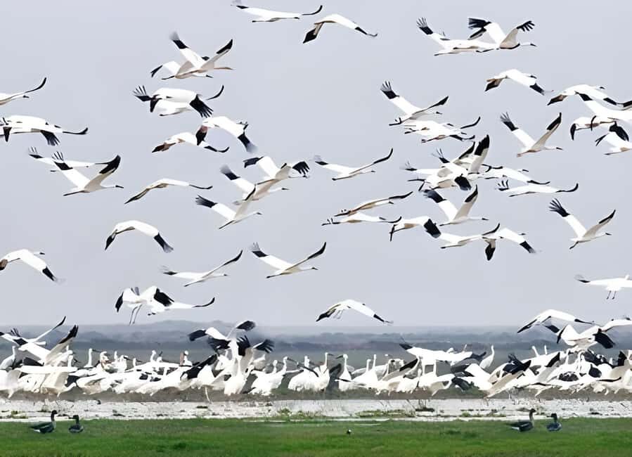 Private Agra to Bharatpur with Fatehpur Sikri Same Day Tour - FAQ