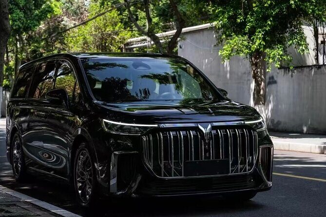 Private Airport Pickup Service from Chengdu Shuangliu - Meeting Point and Ease of Use