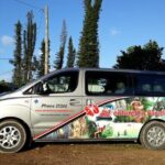 Private Airport Transfer: Port Vila Airport to Hotel - Why Private Transfers Are Worth It in Vanuatu