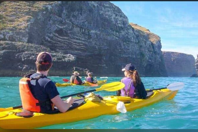 Private Akaroa Day Tour From Christchurch - Practical Details and What to Expect