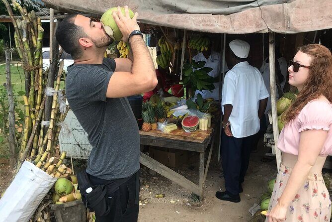 Private and Customize Highlight Tour to Montego Bay from Falmouth - What’s Included and What’s Not