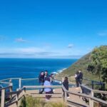 Private and Luxury Great Ocean Road and 12 Apostles Day Tour - The Comfort of Private Luxury Transportation