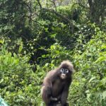 Private Ang Thong Marine Park Catamaran Charter From Koh Phangan - Who Will Love This Tour?