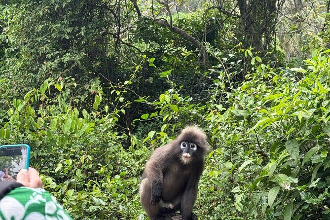 Private Ang Thong Marine Park Catamaran Charter From Koh Phangan - Who Will Love This Tour?