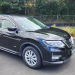 Private Auckland Airport Transfer to, from Auckland Hotels SUV - Authentic Experiences from Reviewers