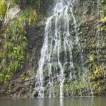 Private Auckland West Coast Tour Piha Beach and Karekare Falls - The Itinerary Breakdown: What to Expect