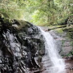 Private Bach Ma National Park Day Trip from Hoi An/Da Nang or Hue - What Makes This Tour Stand Out?