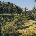 Private Bali Custom Tour  Full Day with English-Speaking Driver - The Itinerary: A Treasure Trove of Bali’s Highlights