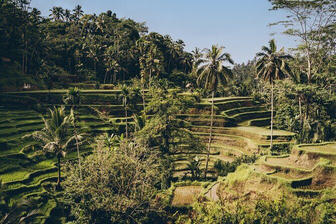 Private Bali Custom Tour  Full Day with English-Speaking Driver - Detailed Breakdown of the Itinerary