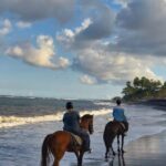 Private Bali Horse ride - Who Will Love This Tour?