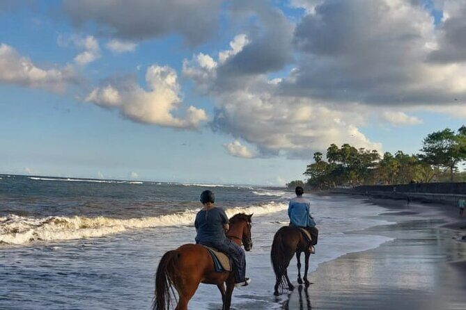 Private Bali Horse ride - Who Will Love This Tour?