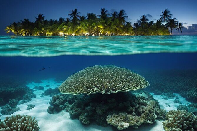 Private Bioluminescent Bay Tour - Analyzing the Cost & Value