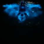 Private Boat Charter Experience in Bio Bay Cayman Island - What to Expect on the Tour