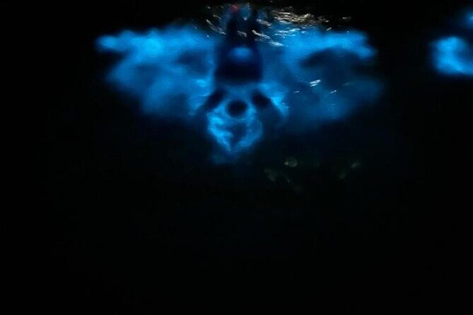 Private Boat Charter Experience in Bio Bay Cayman Island - What to Expect on the Tour