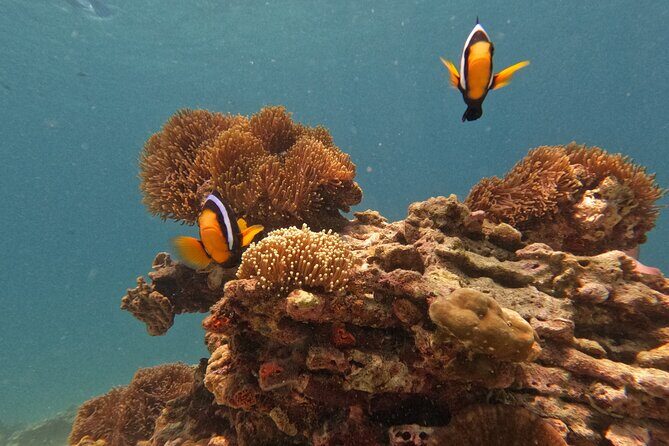 Private Boat Route B by Long Tail Boat - Whats Included and Whats Not