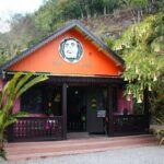 Private Bob Marley & Dunns River from Montego Bay Hotels and Villas - Who Is This Tour Best Suited For?