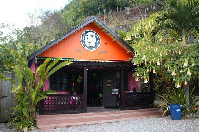 Private Bob Marley & Dunns River from Montego Bay Hotels and Villas - Who Is This Tour Best Suited For?