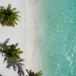 Private Buggy Safari Sugar Plantation & Chavón River Journey - Who Will Love This Tour?