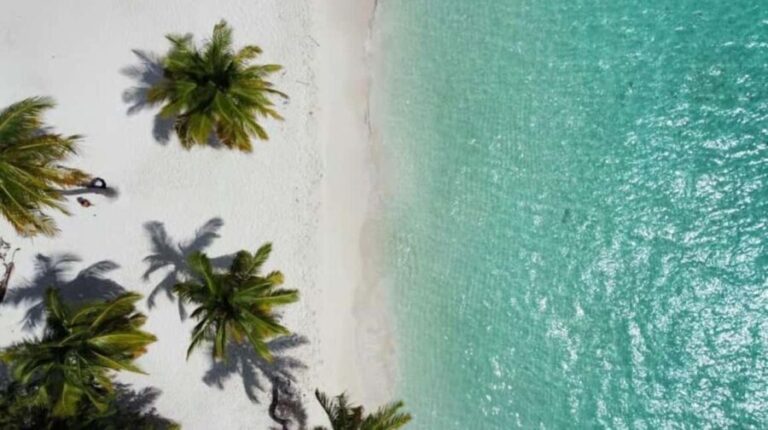 Private Buggy Safari Sugar Plantation & Chavón River Journey - Who Will Love This Tour?