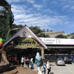 Private: Cameron Highlands 2 days 1 night Trip - The Sum Up