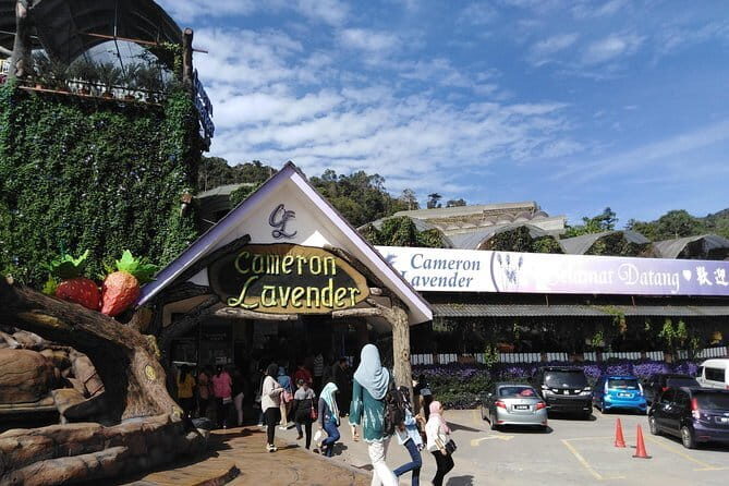 Private: Cameron Highlands 2 days 1 night Trip - The Sum Up
