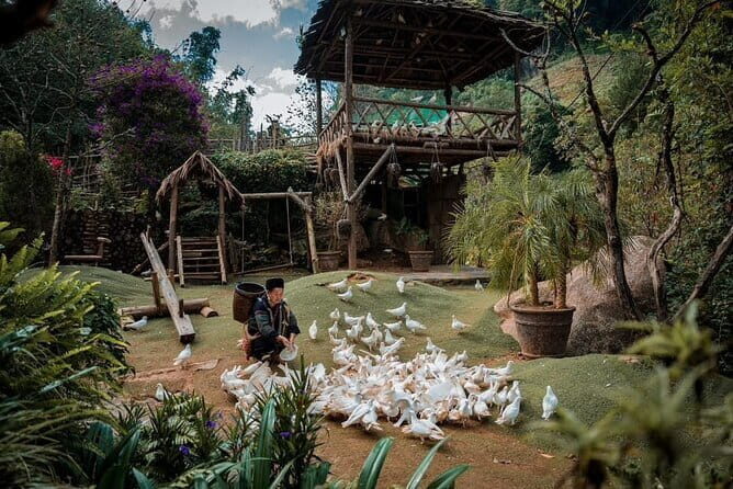 Private Car Trip to Cat Cat, Alpine Coaster and Moana Café - The Experience of the Guide