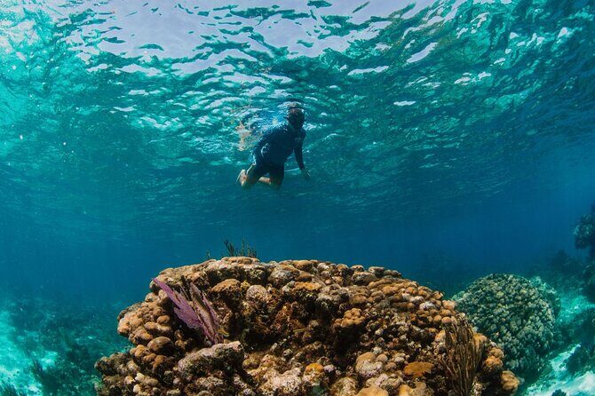 Private Charter Reef fishing, Stingray City, Snorkel, Mangroves - Practical Tips for Travelers