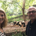 private Chengdu highlights tour with Panda Breeding Base - Practical Details and Tips