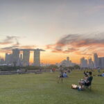 Private City Car Tour Singapore (4 Hours or 8 Hours) - Authentic Experiences from Reviewers