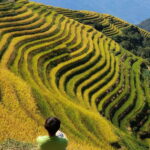 Private Custom Tour: 2 day Longji Rice Terraces Private Tour - FAQs