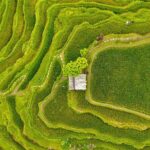 Private Customize Ubud Day Tour With Experienced Driver - Why We Think This Tour Offers Great Value