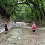 Private: Damajagua Waterfalls Adventure with Jungle Trek - Why This Tour Works Well