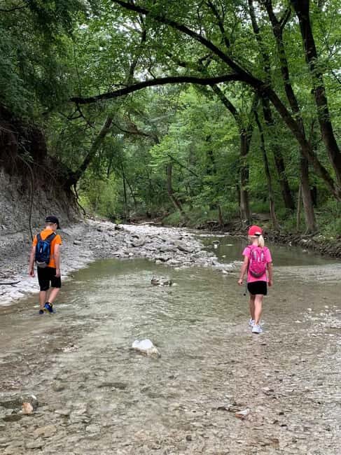 Private: Damajagua Waterfalls Adventure with Jungle Trek - Why This Tour Works Well