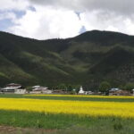 Private Day Tour to Shangri-la from Lijiang by Car - Detailed Review of the Private Day Tour to Shangri-La from Lijiang