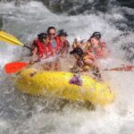 Private Day Trip Bali Rafting, Monkey Forest and Waterfall - An In-Depth Look at the Tour