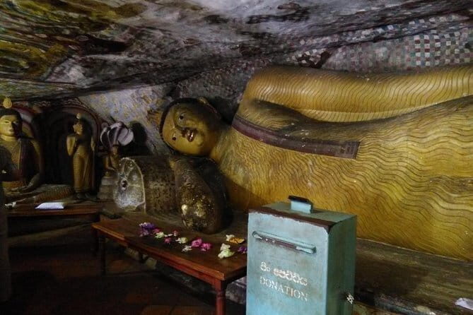Private day trip Sigiriya, Dambulla with Kaudulla national park safari - Comfort, Logistics, and Value