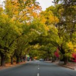 Private Day Trip to Hahndorf and McLaren Vale Bus - Price and Value