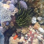 private daytour : nusa lembongan,ceningan,snorkeling - Practical Tips for Your Trip