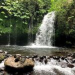 private daytrip:jatiluwih,purification ceremony,waterfalls - The Iconic Jatiluwih Rice Terraces: UNESCO’s Masterpiece