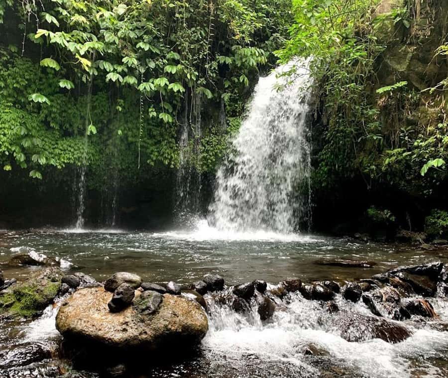 private daytrip:jatiluwih,purification ceremony,waterfalls - The Iconic Jatiluwih Rice Terraces: UNESCO’s Masterpiece