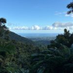 Private El Yunque Adventure  Hidden Waterfalls & El Toro Trail! - Who Should Book This Tour?