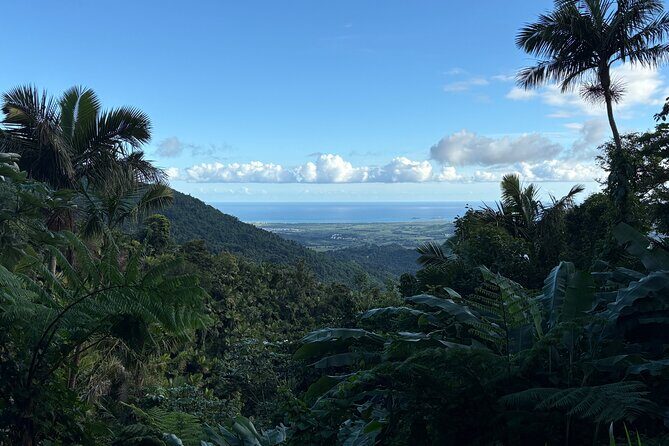 Private El Yunque Adventure  Hidden Waterfalls & El Toro Trail! - Who Should Book This Tour?