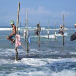 Private Excursion to Galle - An In-Depth Look at the Galle Private Excursion