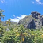 Private Full-Day Jungle to Shoreline Hiking Tour of Las Galeras - An In-Depth Look at the Jungle to Shoreline Journey