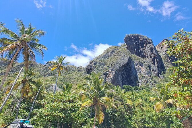 Private Full-Day Jungle to Shoreline Hiking Tour of Las Galeras - An In-Depth Look at the Jungle to Shoreline Journey
