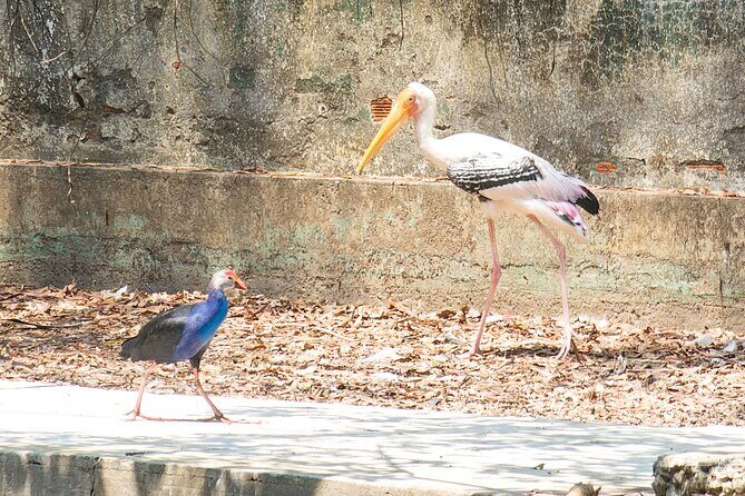 Private Full Day Mekong Delta Tour to Dong Thap Muoi Wetlands - Practical Details and Considerations